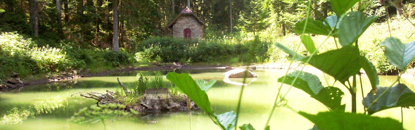 Erholung